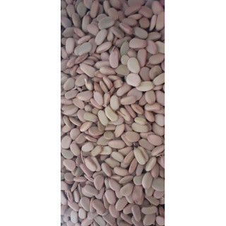 100gram hạt keo gai giống