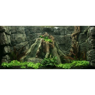 Tranh phông nền dán hồ cá Aqua_011 KT 115 x 60 cm