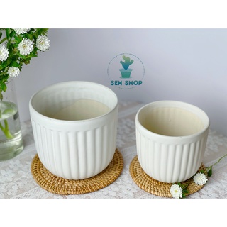 Chậu men trồng cây.
