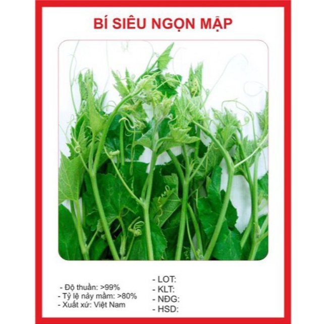 Chất Lượng Cao + Hạt giống bí siêu ngọn