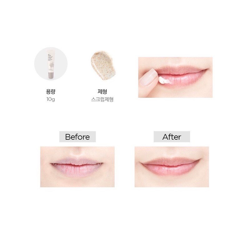 TẨY DA CHẾT LIP SCRUB SEA BUTTER | BigBuy360 - bigbuy360.vn