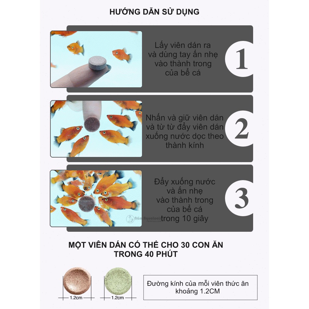 Thức Ăn Dán Spirulina Patch Fish Food ☘ Thức Ăn Tảo Viên Spirulina ☘ Bổ Sung Chất Sơ Và Vitamin Cho Cá Tép Cảnh