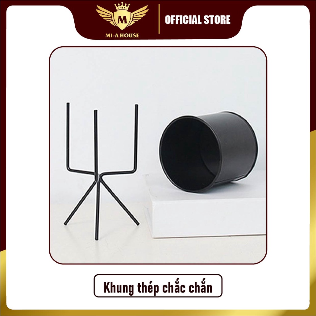 Chậu trồng cây sen đá, xương rồng, cẩm nhung – Hộp trồng cây mini để bàn