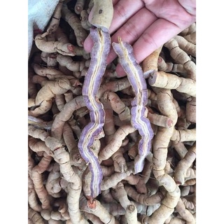 BA KÍCH TÍM TƯƠI BỎ LÕI HÚT CHÂN KHÔNG 1KG