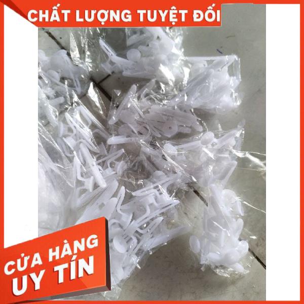 100 con tắc kê bướm thạch cao,tắc kê nở