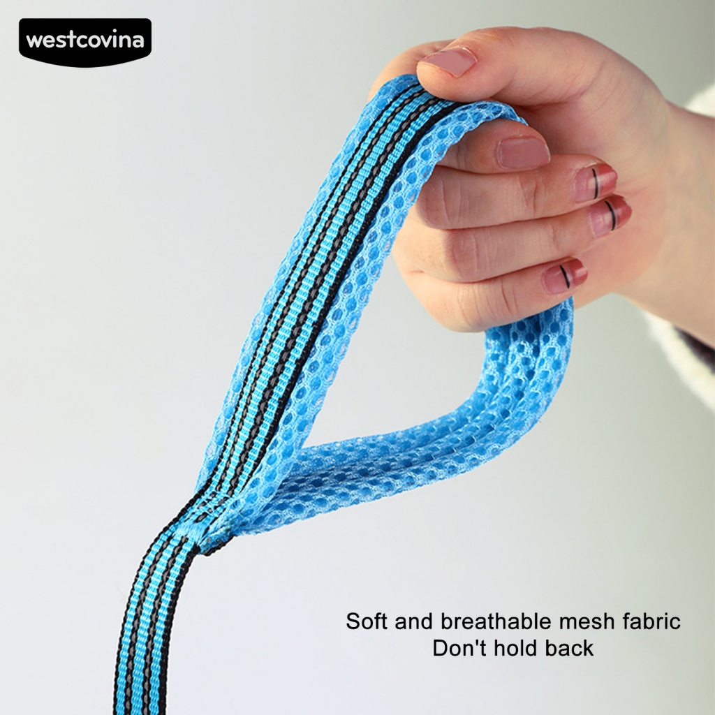 Dây Dắt Chó Phản Quang Thoáng Khí Chống Rách Màu Sáng