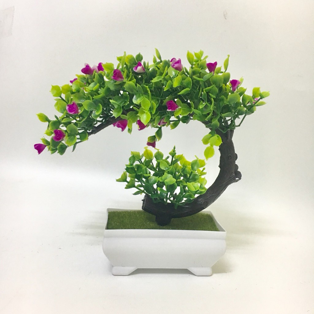 Cây bonsai phú quý tài lộc - Cây bon sai giả để bàn trang trí  Để nội thất, phòng làm việc ( kèm chậu nhựa)