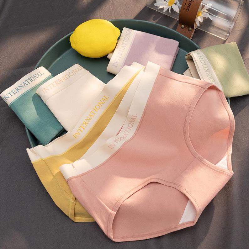 Quần Lót Nữ Cotton Cạp Su Chữ Kháng Khuẩn Màu Sắc Trẻ Trung Cao Cấp - 8858