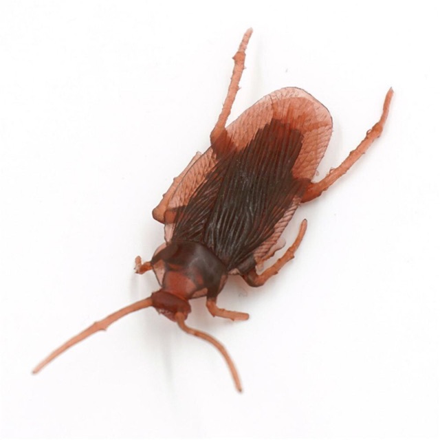 Con Gián giả, đồ chơi độc đáo Halloween, chơi khăm