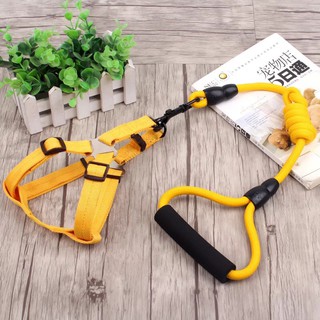 Dây dắt 3 in 1 ( Dây dắt, Vòng cổ, Đai bụng)