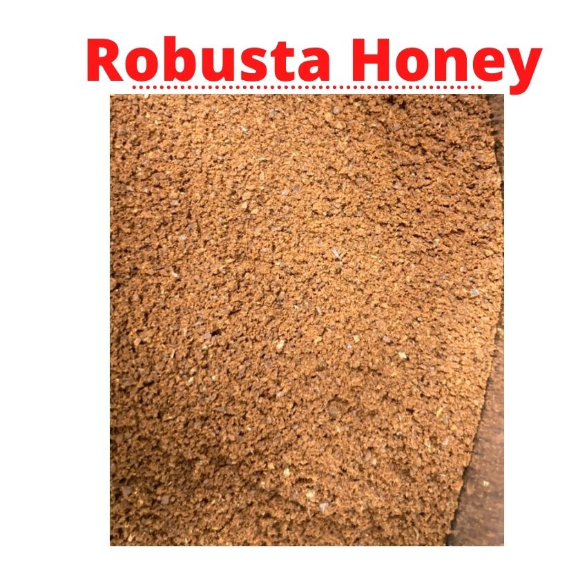 [TẶNG PHIN NHÔM] 500GR Cafe Pha Phin Robusta Honey Chất Lượng Cao 100% Rang Mộc - 551 Coffee | BigBuy360 - bigbuy360.vn