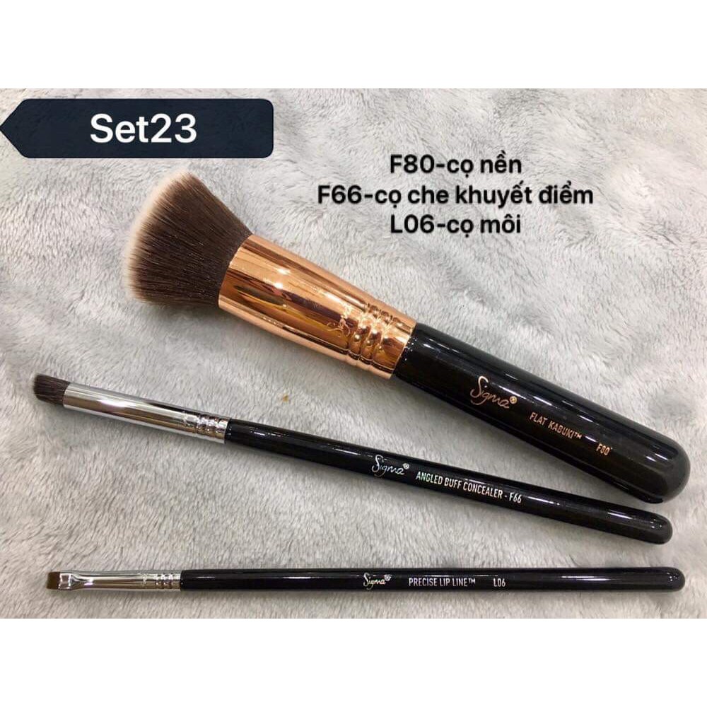 Thanh lý cọ Sigma chính hãng-giá rẻ nhất trong năm