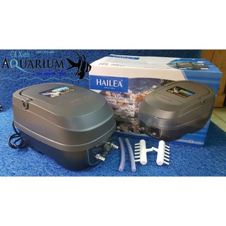 Hailea CPA - 120 Máy sủi oxy tích điện công suất lớn