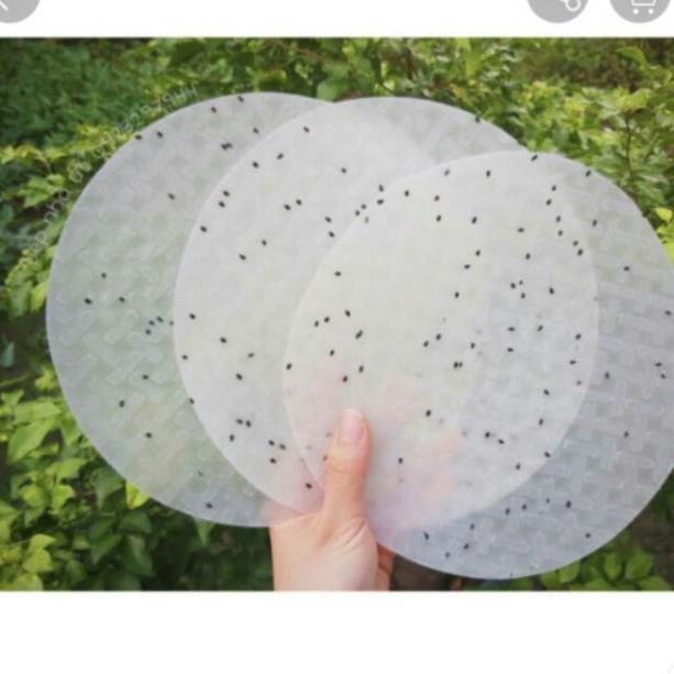 Combo 5kg bánh tráng nướng sỉ 210k