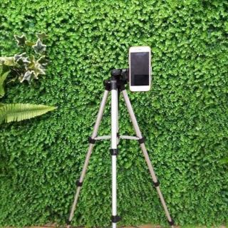 kệ live stream
