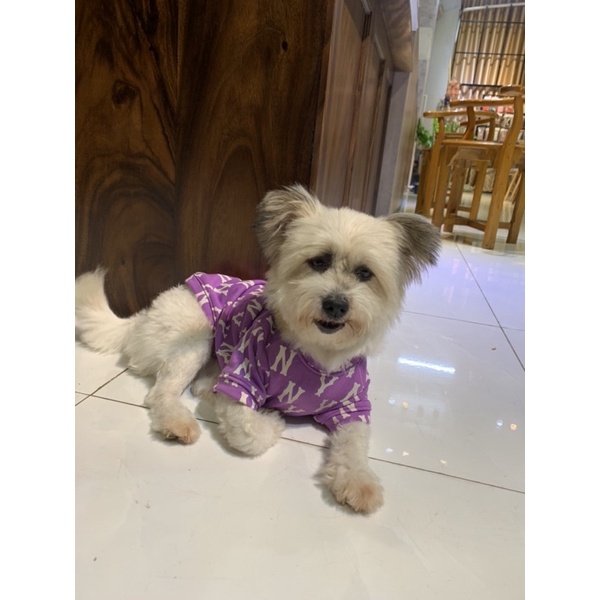 Áo NY cho chó mèo