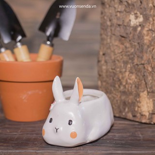 Chậu thỏ trắng (nhựa cứng) - Vườn sen đá
