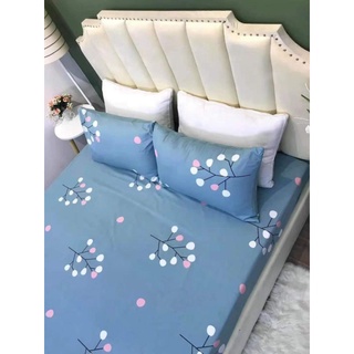 Ga gối cotton 100%