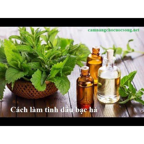 Tinh Dầu Bạc Hà Thiên Nhiên 10ML.