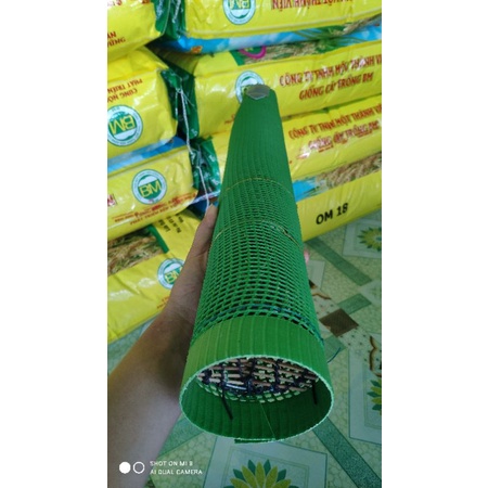 Trúm lươn lưới nhựa đời mới