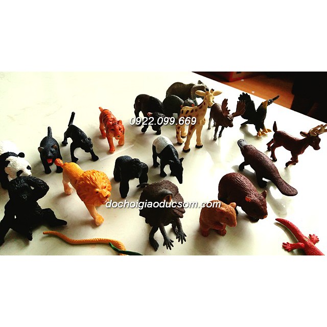 Mô hình 36 động vật hoang dã mini Safari - bé học thế giới xung quanh
