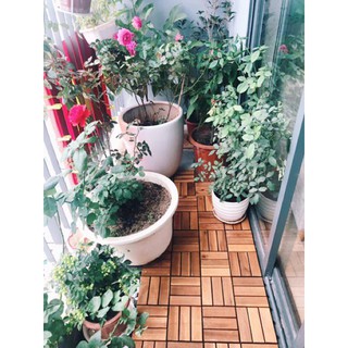 Sàn Gỗ Ban Công Sân Vườn