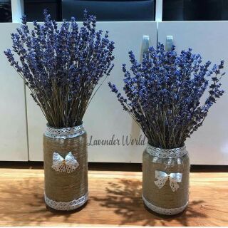 Bình Hoa khô Lavender nhập khẩu pháp. 100 nhành.