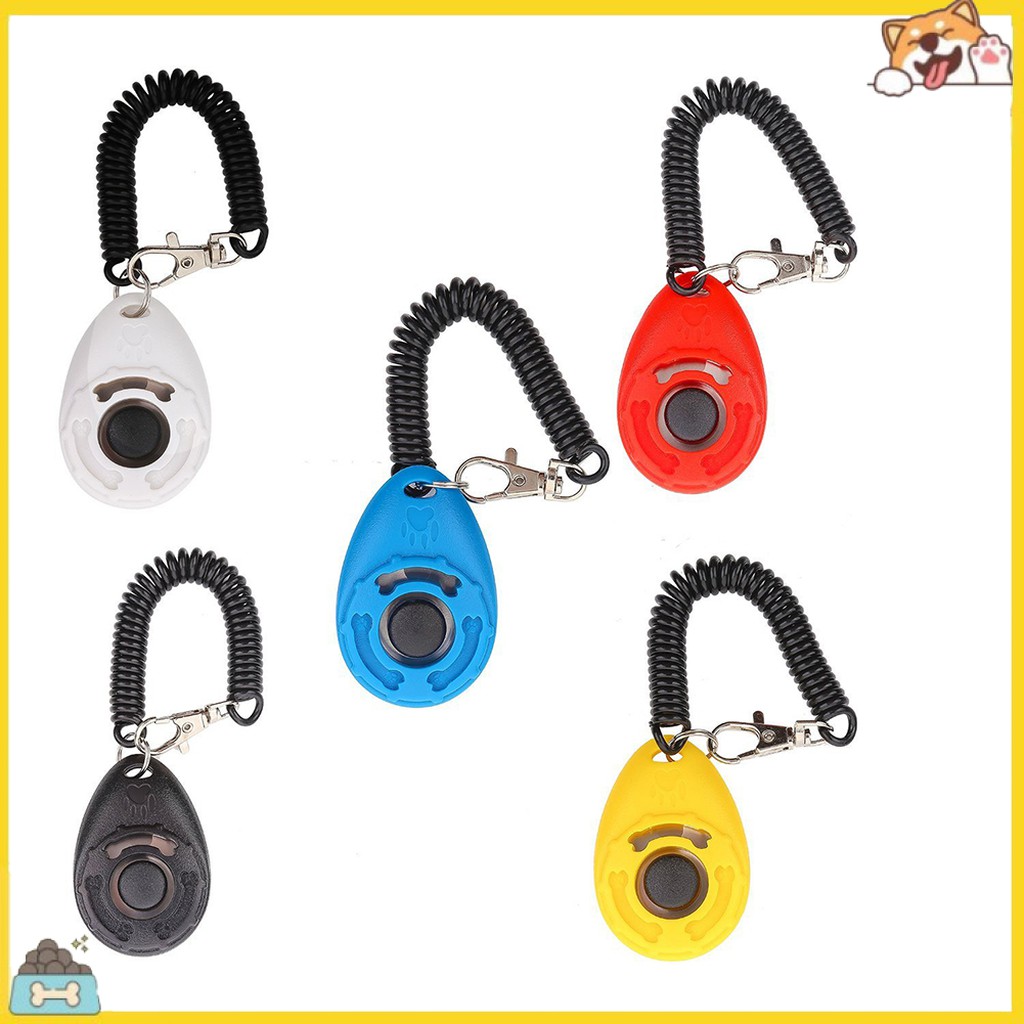 Thiết bị chiếu âm thanh huấn luyện thú cưng đi dạo