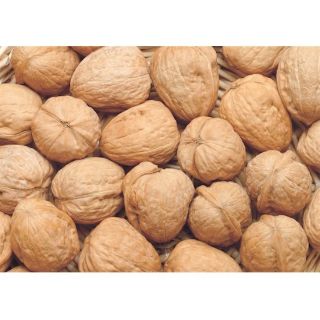 1kg Óc Chó Sapa