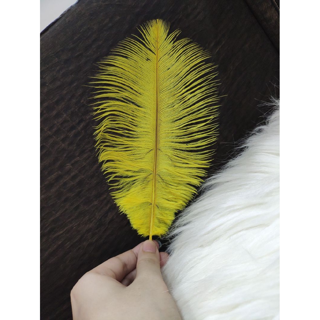 Trang trí sợi lông vũ vàng