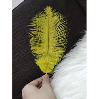 Trang trí sợi lông vũ vàng