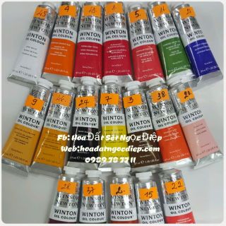 MÀU WINTON 37ML(1 TUÝP)