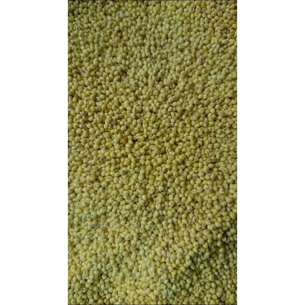 Kê trứng dành cho chim vẹt gói 500g và 1kg