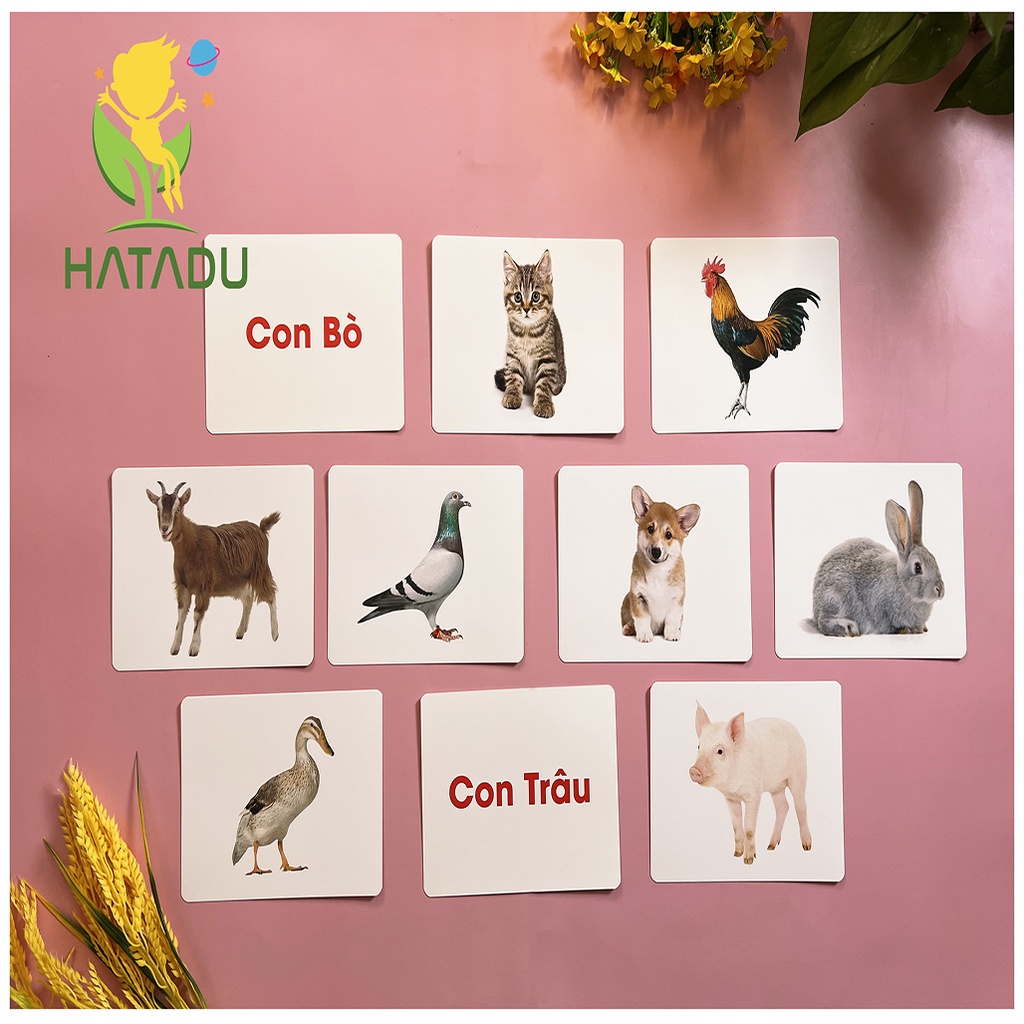 BỘ THẺ TGXQ GIÚP MẸ MANG THẾ GIỚI ĐẾN GẦN CON HƠN - CÓ VIDEO HƯỚNG DẪN TRÁO