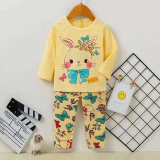 Combo bộ cotton đại 25-35kg