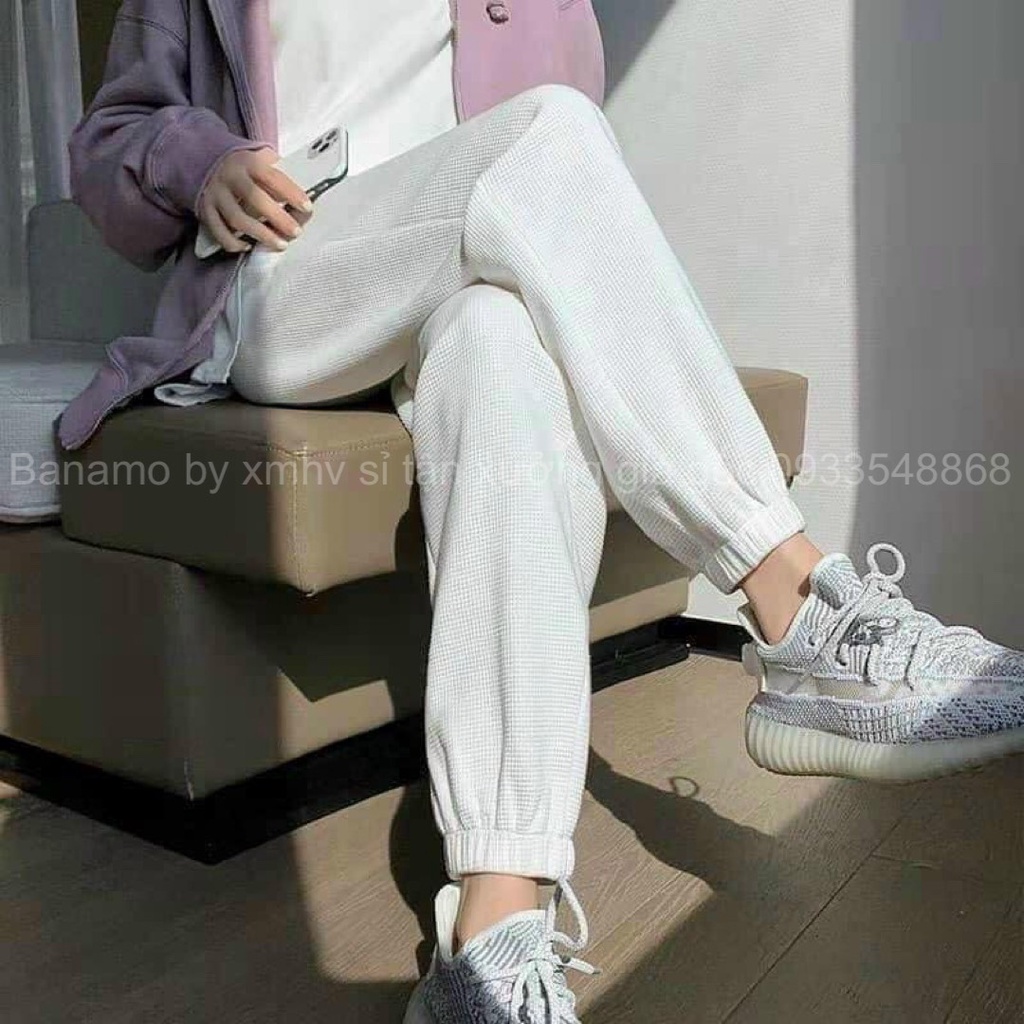 Quần jogger thể thao unisex nỉ tổ ong dày dặn phong cách Ulzzang thời trang Banamo Fashion 296