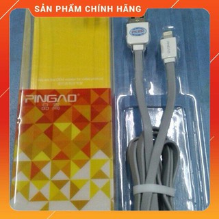 Cable IP6 pingao