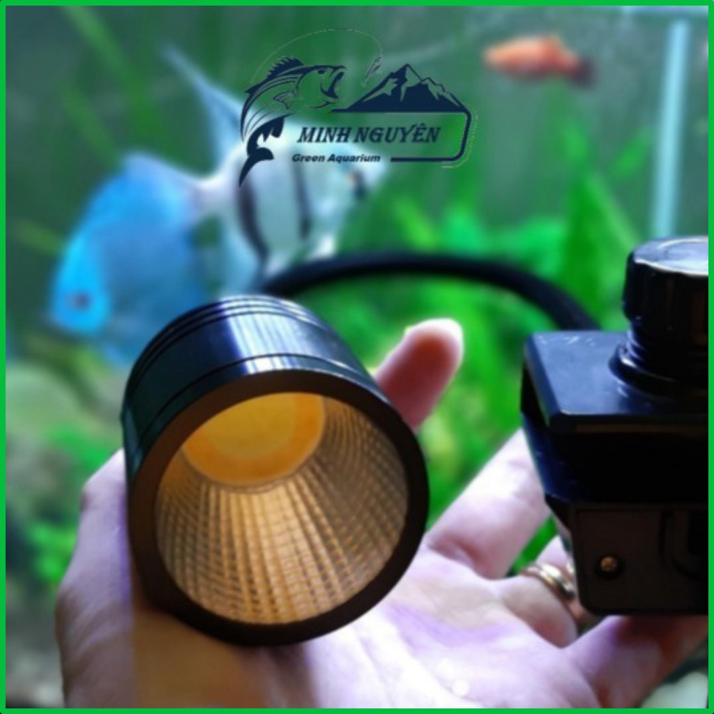 Đèn LED Rọi Bể Cá LED Rọi Thủy Sinh 3W-5W-7W Đèn LED đổi màu cho bể cá cảnh đẹp
