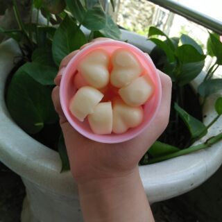 Kit làm 5 thỏi son vỏ đen