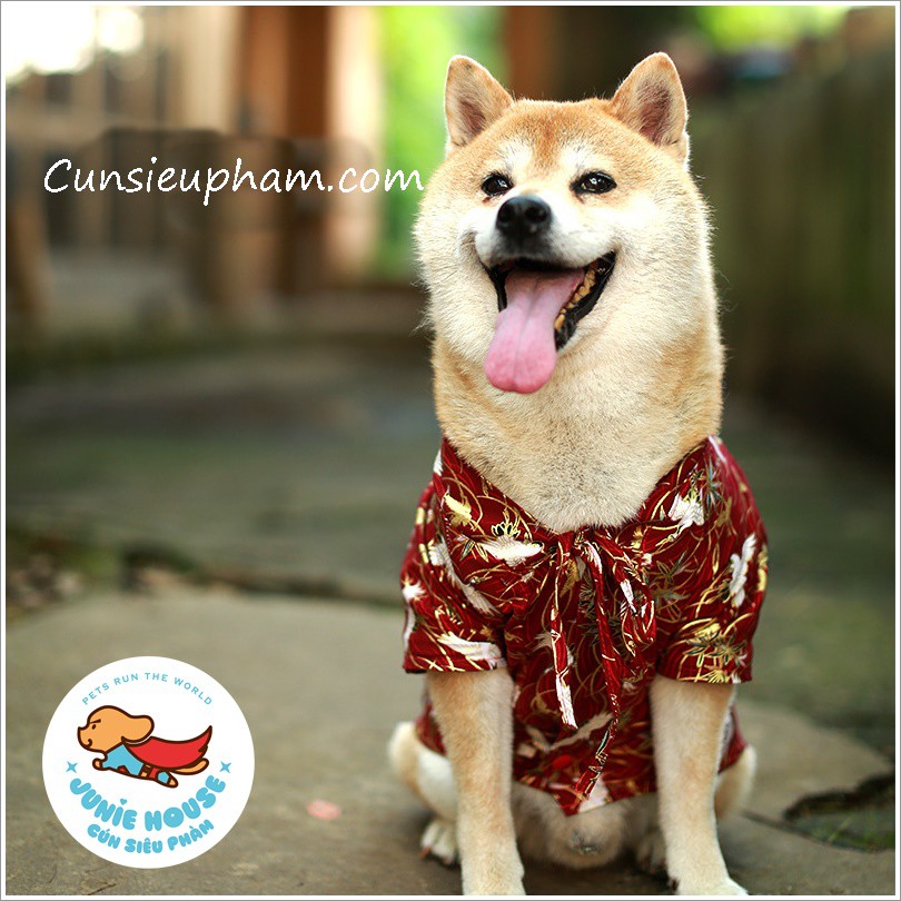 Quần áo Tết Kimono cho chó lớn