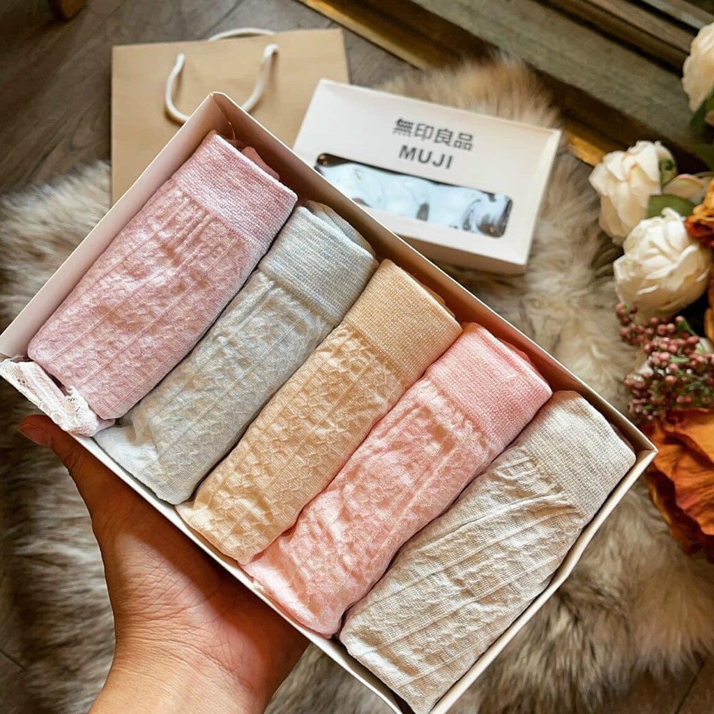 Set 5 quần chip cotton co dãn 4 chiều nhiều màu Freesize