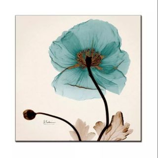 Tranh in canvas Hoa 60x60 kèm khung