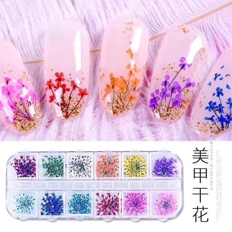 Hoa Khô Ẩn, Sét Hoa Ẩn Nail [Thanh Vy Nail]