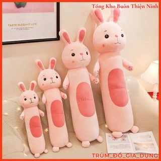 Gối Ôm/Gấu Bông Dễ Thương (Thỏ, Ếch, Khỉ, Sư Tử)
