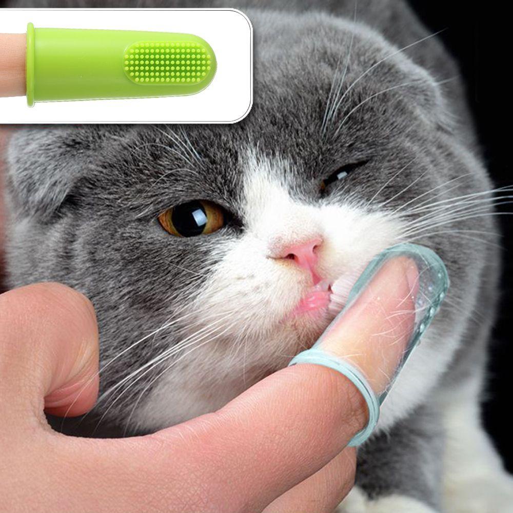 Bàn chải đánh răng đeo ngón tay chăm sóc răng miệng cho thú cưng