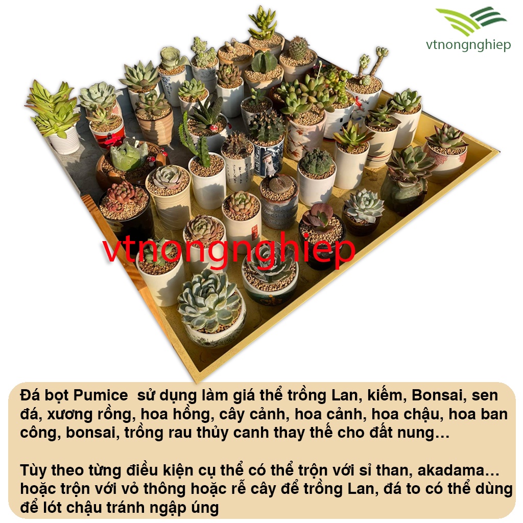 Đá Pumice Indonesia Premium, gói 500g, Size 1-2cm, 5-8mm, 3-6mm, trộn đất trồng sen đá, xương rồng, hoa hồng, kiểng lá