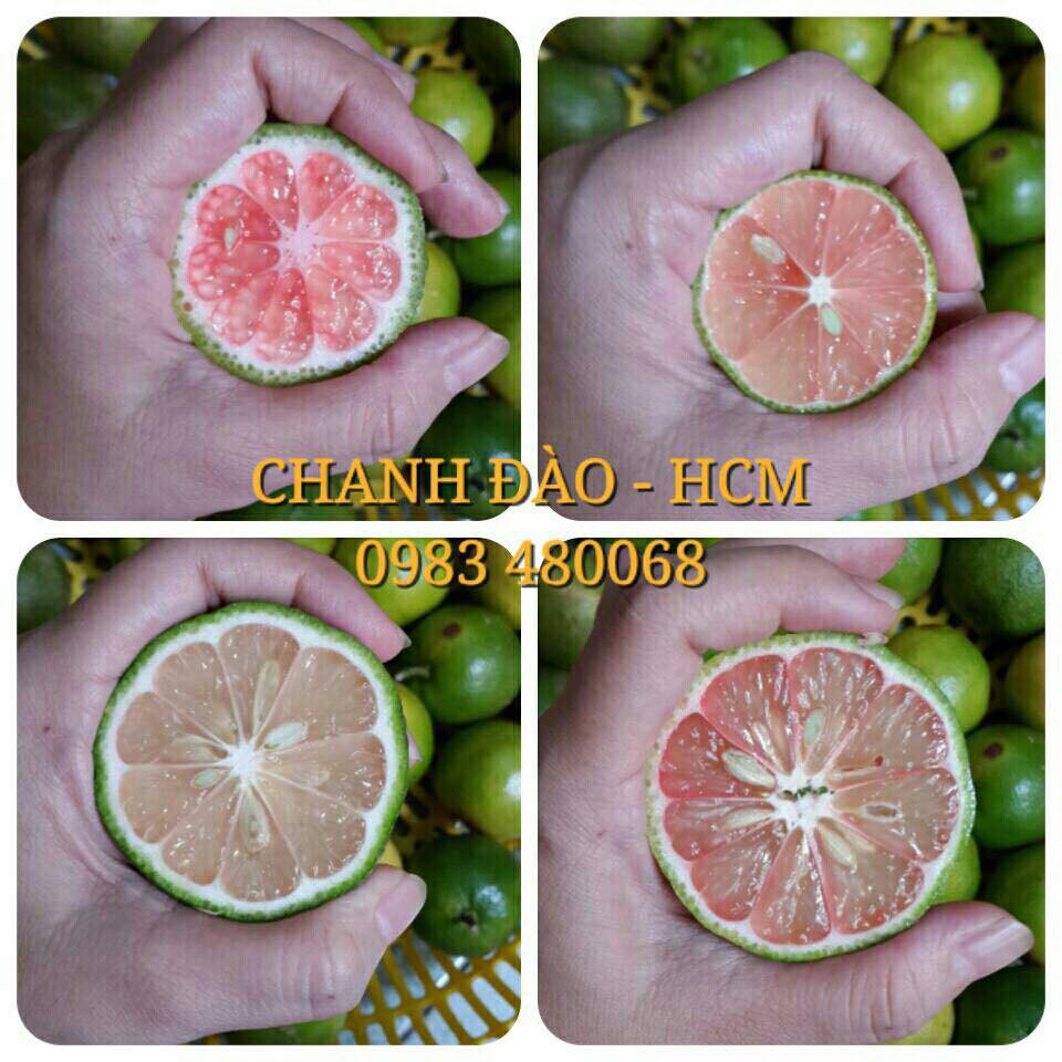 Chanh Đào ngâm 1 lít ngâm 100% bằng mật ong nguyên chất Gia Lai
