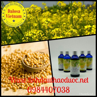 TINH DẦU MÙ TẠT ( MÙ TẠC) 100ml