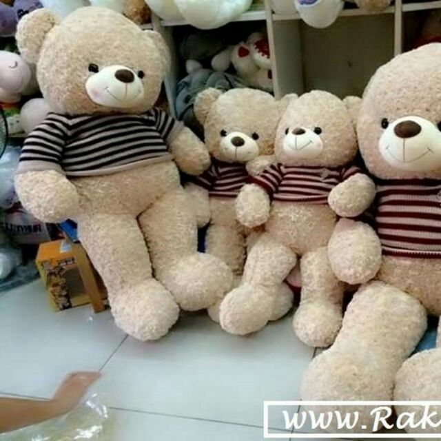 Gấu Teddy 50cm