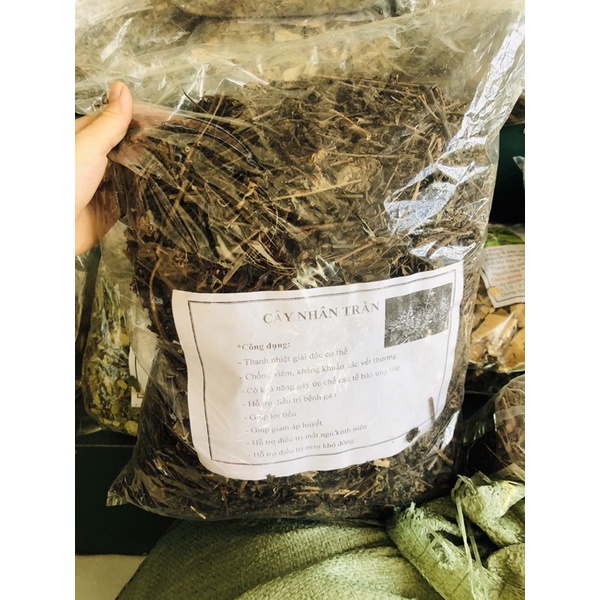 1kg Cây nhân Trần khô thơm,ngọt,mát